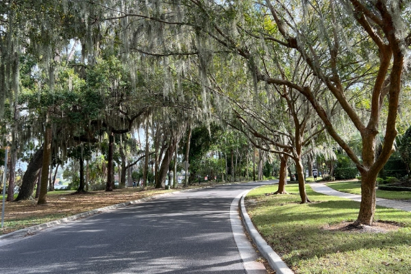 Spanish Moss Neighborhood Street 600X400